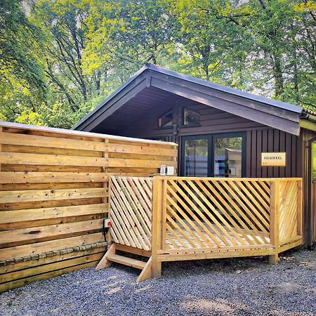 The Squirrel Lodge - Hot Tub - Pet Friendly - Pembrokeshire-Tenby Carmarthen Zewnętrze zdjęcie